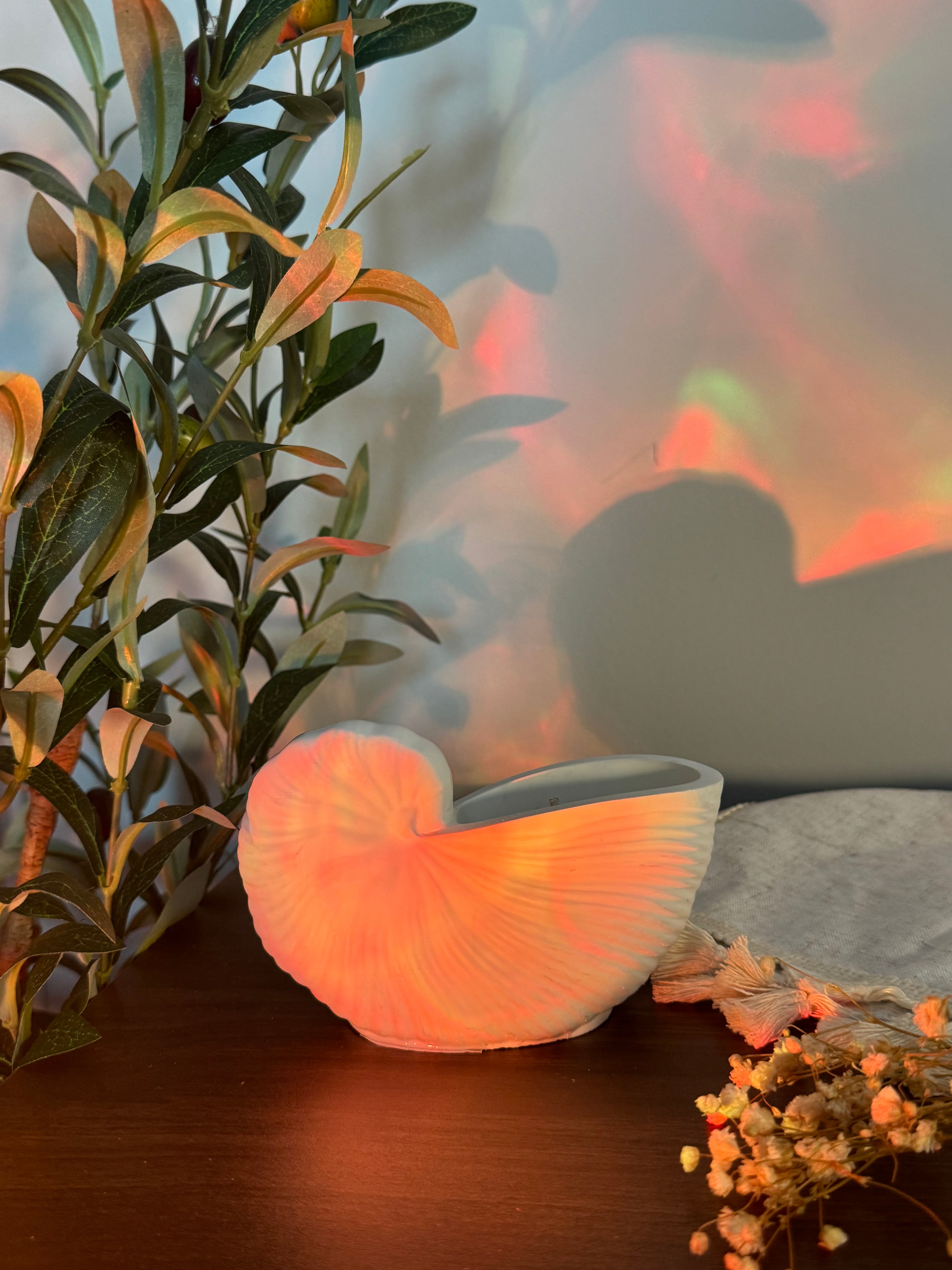 Sea spiral candle by the wax society styled on a neutral background